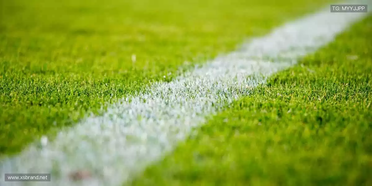 🎯 装备你的热爱,从这里开始!